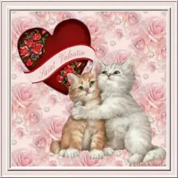 St valentin chatons
